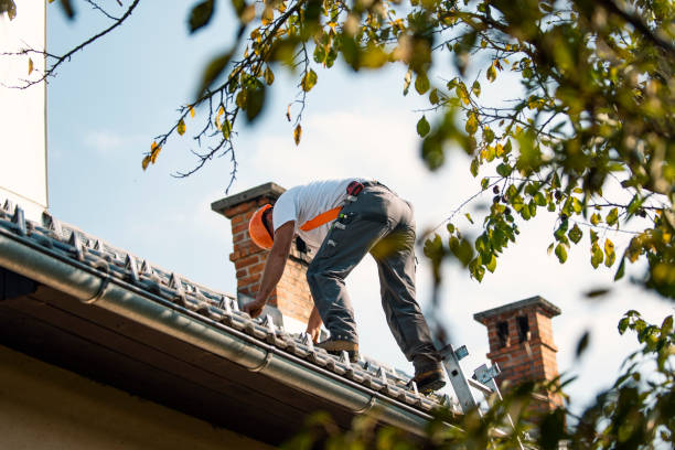 Best Roof Repair Services  in Dundee, MI