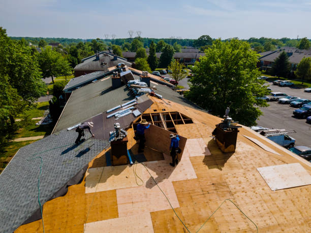 Quick and Trustworthy Emergency Roof Repair Services in Dundee, MI