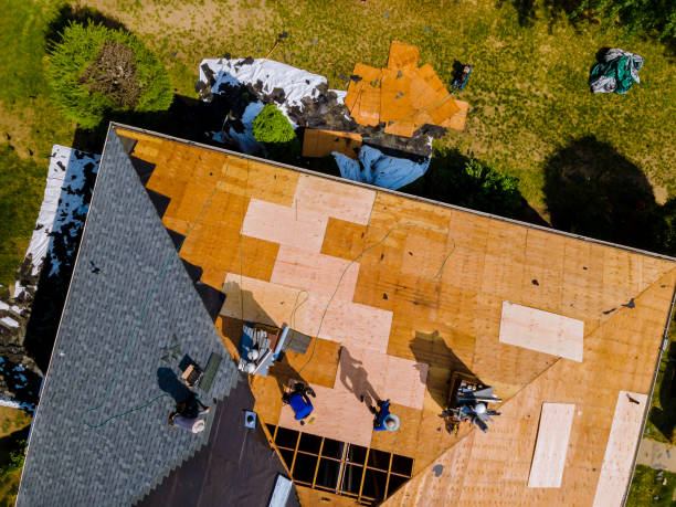 Best Commercial Roofing Services  in Dundee, MI
