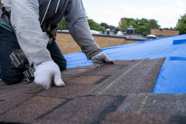 Best Roof Gutter Cleaning  in Dundee, MI