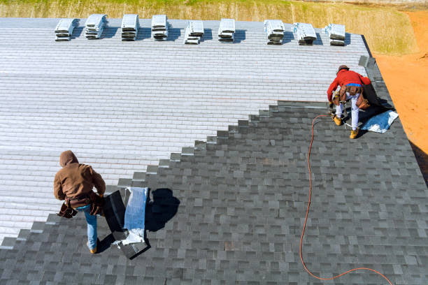 Best Emergency Roof Repair  in Dundee, MI