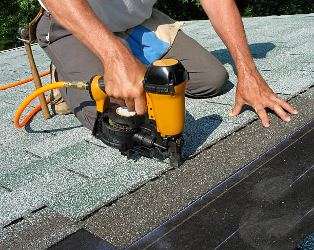 Best Roof Repair Specialists  in Dundee, MI