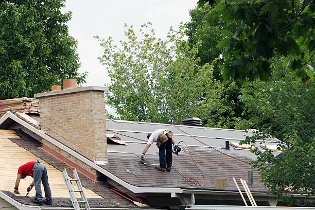 Best Best Roofing Contractors  in Dundee, MI