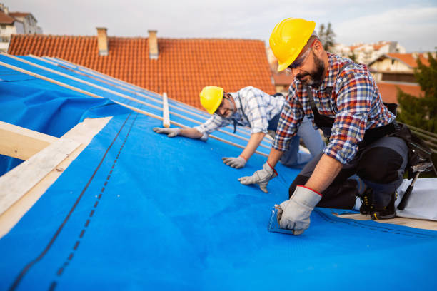 Best Shingle Roofing Installation  in Dundee, MI