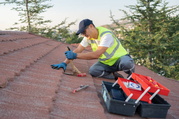 Best Roof Installation Near Me  in Dundee, MI