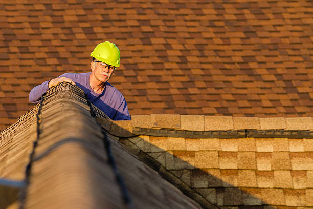 Best Roofing Contractor Near Me  in Dundee, MI
