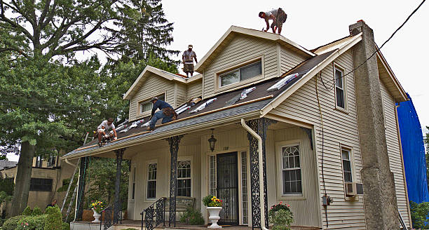 Best Gutter Installation and Roofing  in Dundee, MI
