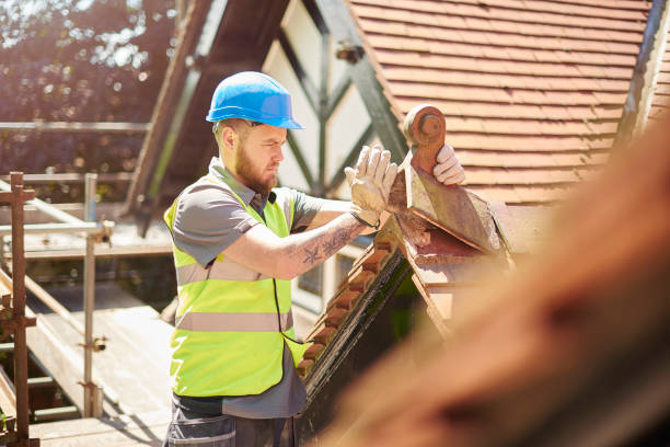 Best Storm Damage Roof Repair  in Dundee, MI
