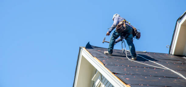 Best Residential Roofing Contractor  in Dundee, MI
